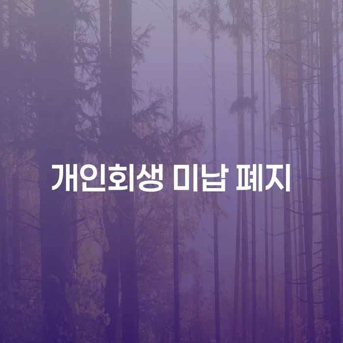개인회생전자소송 카드빚 연체 결정이나고