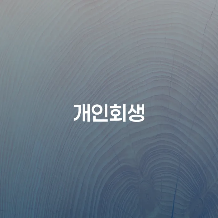 개인회생 취소 대출 받은 돈채무조정 잘하는 법무법인