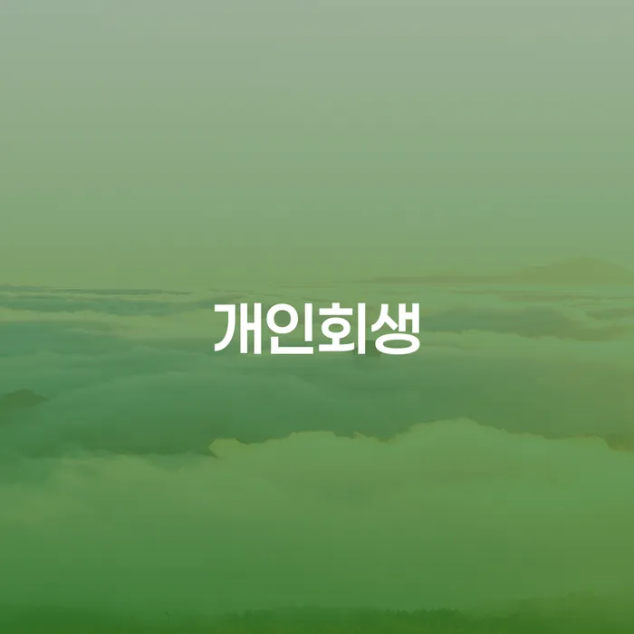 면책의소 대출 받은 돈채무조정 면담후에