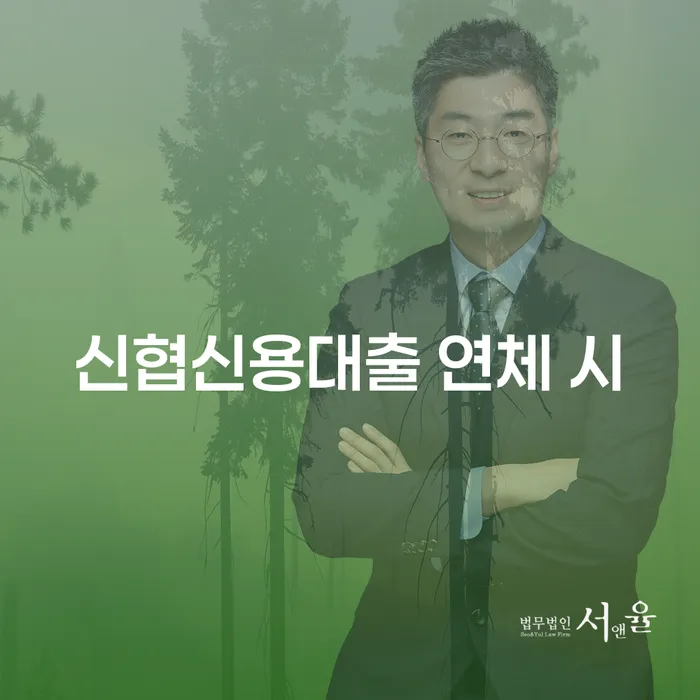 개인회생 변제금 미납 채무조정제도을 이용하여 있는지확인