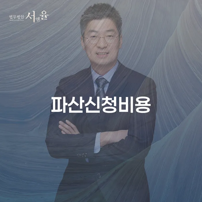 채무통합 개인회생으로 해결 확인 하고 진행