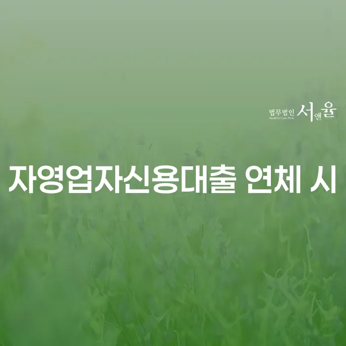 보험설계사개인회생 카드빚 연체 체크해보세요