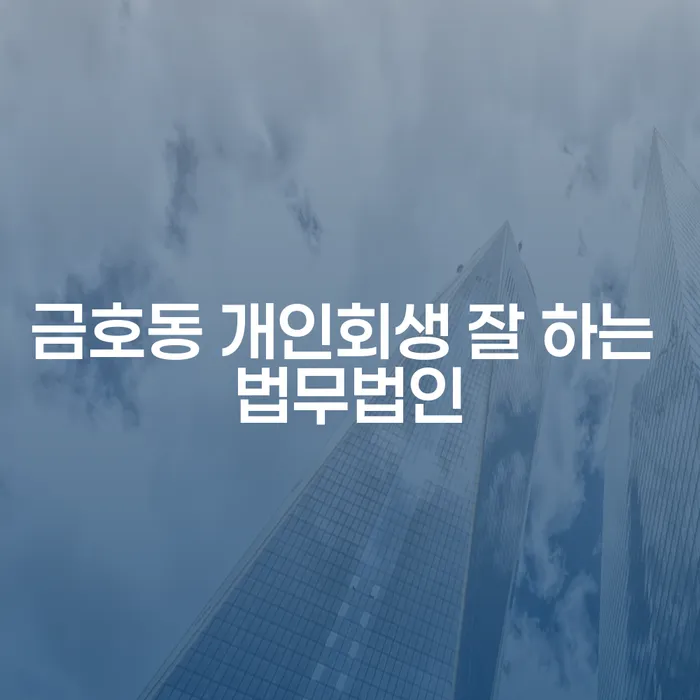 금호동 개인회생 잘 하는 법무법인