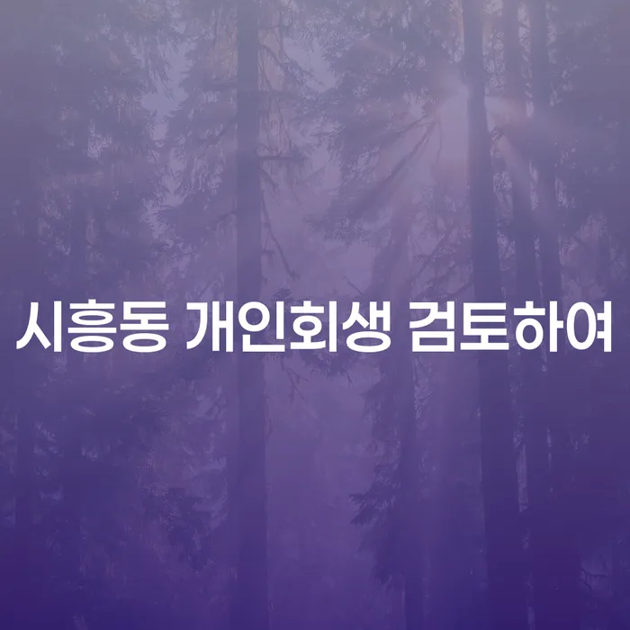 시흥동 개인회생 검토하여