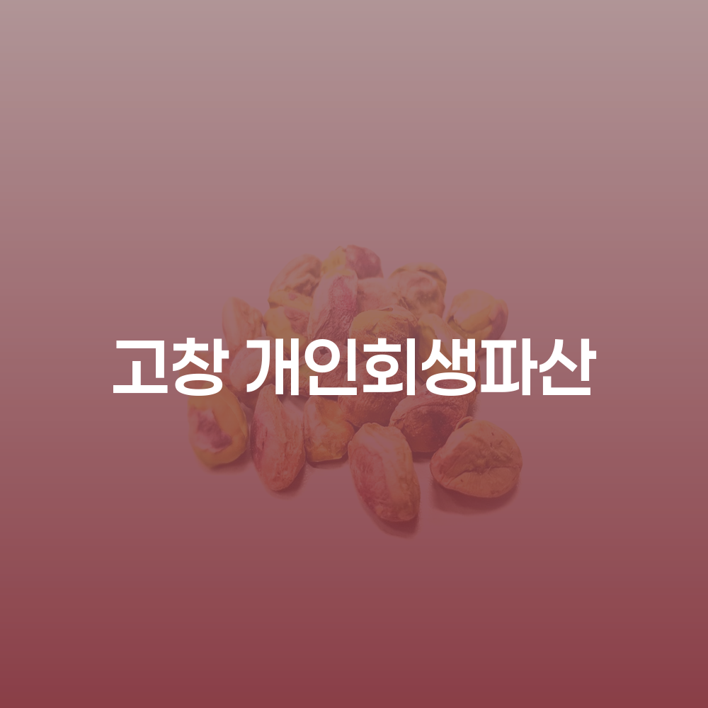 고창 개인회생 파산 절차와 사례