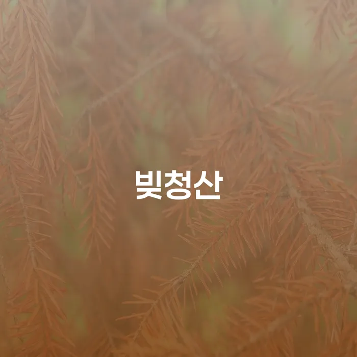 62살, 주식채무 5390만원 빚 청산 가능할까요?