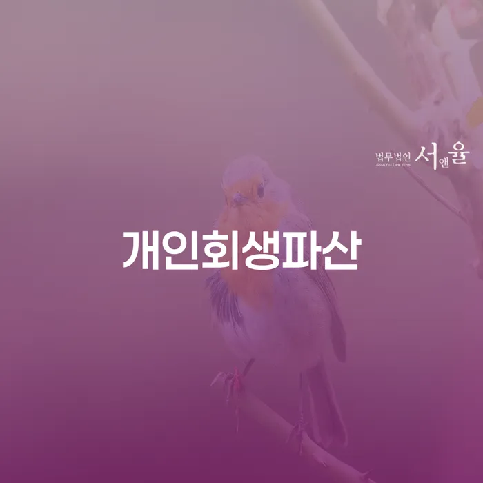 나주시 개인회생파산, 지금 신청해야 할까요?