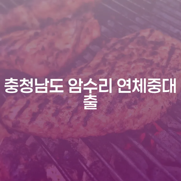 충청남도 암수리 연체중대출, 해법은 개인회생대부? 알아보세요!