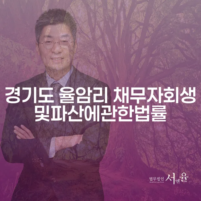 경기도 율암리에서 채무자 회생 및 파산을 고려해야 할 때, 어떤 법률적 선택이 있을까요?