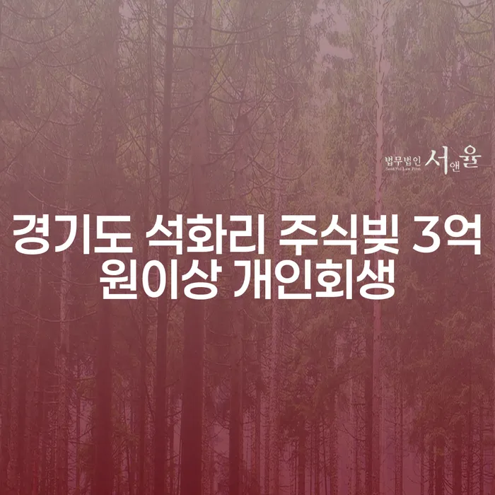 경기도 석화리, 주식빚 3억원 이상 개인회생과 장애인파산, 어떻게 해야 할까요?