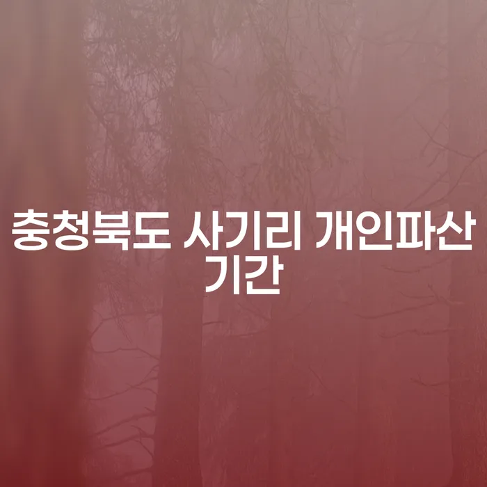 충청북도 사기리에서 개인파산과 개인회생, 무엇을 선택해야 할까요?