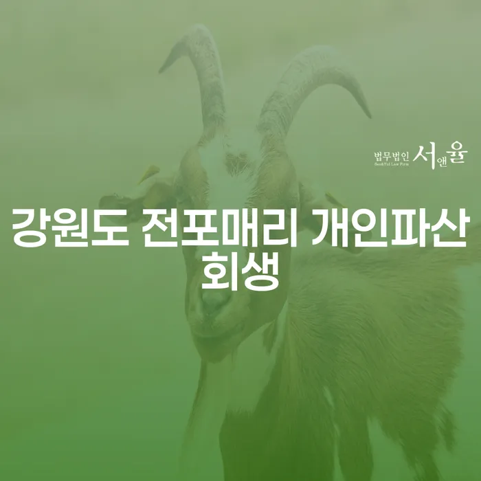 강원도 전포매리에서 개인파산회생을 고려해야 하는 이유는 무엇일까요?